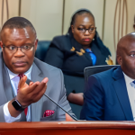 Parliamentary Committee Rejects TikTok Ban, Recommends Local Data Storage and Stricter Regulation