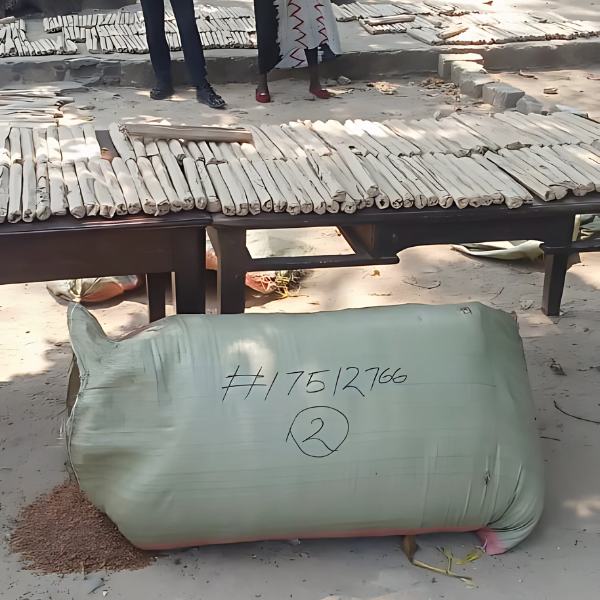 Cannabis Bust