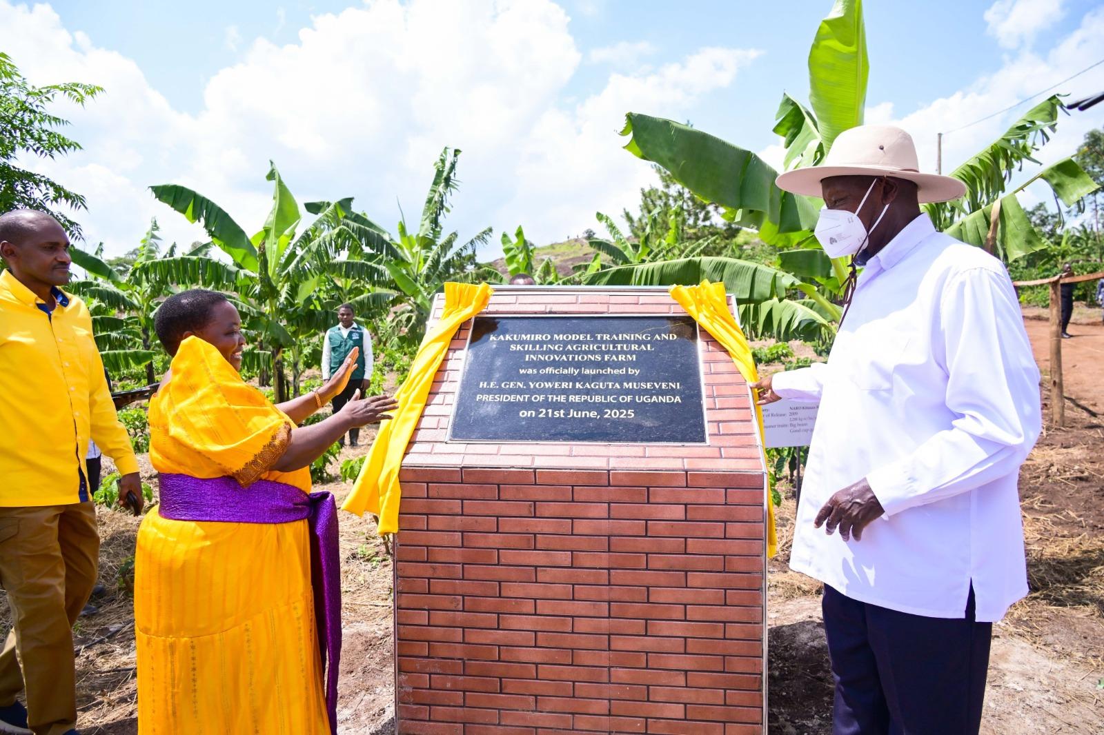 WhatsApp Image 2025-06-24 at 14.28.01 (1)