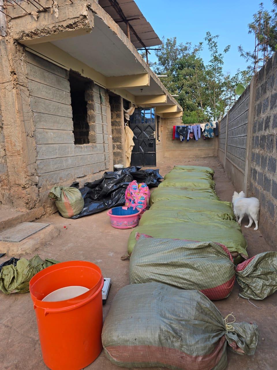 WhatsApp Image 2025-07-18 at 14.08.30