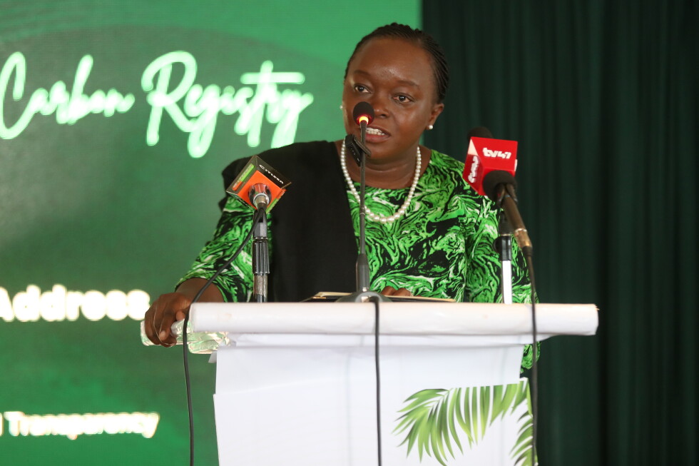 Kenya tightens carbon market rules, caps overseas credit sales through 2030