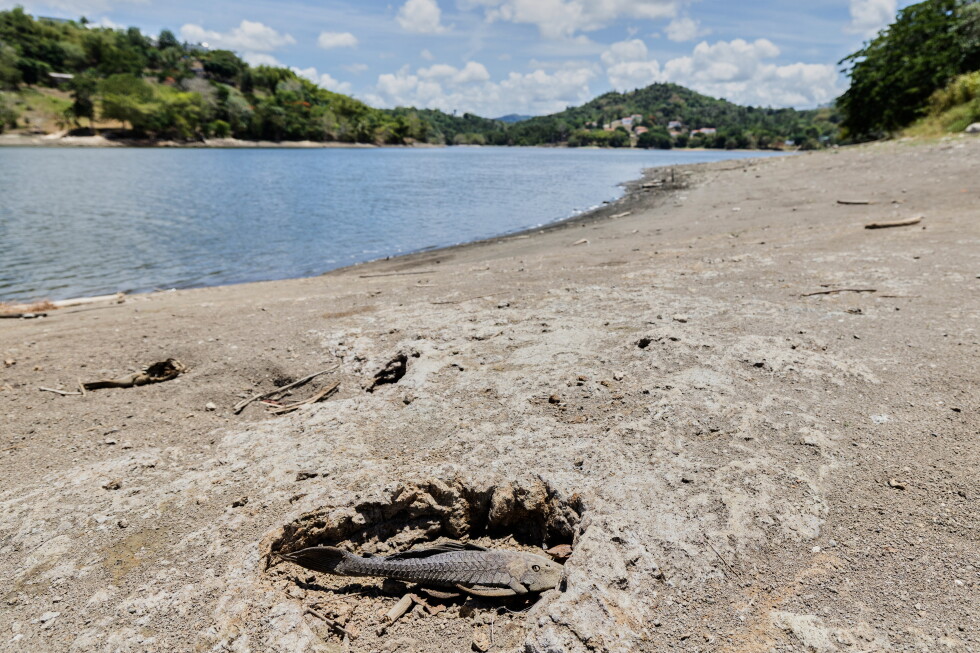 Puerto Rico drought emergency deepens as federal aid expands to hard-hit farming towns