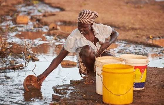 Kisii drought leaves families queuing for water as springs dry and milk output falls